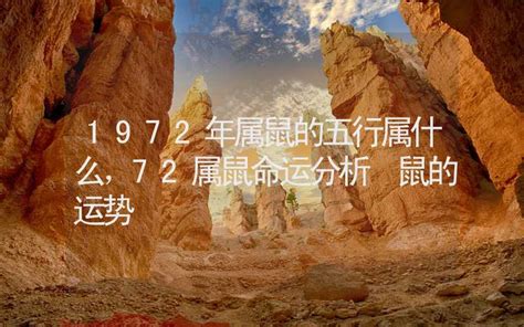 72年次五行|1972年属鼠的五行属什么 72属鼠命运分析